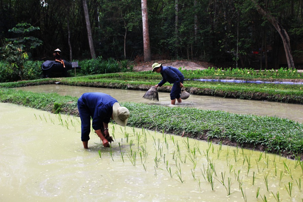 Củ Chi - một vùng đất vốn cằn cỗi cách trung tâm TP Hồ Chí Minh 70km về phía Tây Bắc. Không ai ngờ, nơi đây lại trở thành một trong những trang sử vẻ vang nhất của dân tộc, được ví như “đất thép thành đồng” trong những năm kháng chiến chống giặc ngoại xâm. Củ Chi - một vùng đất vốn cằn cỗi cách trung tâm TP Hồ Chí Minh 70km về phía Tây Bắc. Không ai ngờ, nơi đây lại trở thành một trong những trang sử vẻ vang nhất của dân tộc, được ví như “đất thép thành đồng” trong những năm kháng chiến chống giặc ngoại xâm.