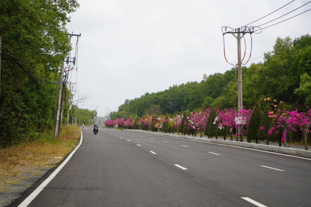 Được sự quan tâm của lãnh đạo TP Hồ Chí Minh và Trung ương đã tạo nên con đường huyết mạch từ trung tâm thành phố về Cần Giờ. Con đường Rừng Sác không chỉ mang lại giá trị thông thương kinh tế mà còn là một trong những con đường có cảnh quan đẹp, thơ mộng của thành phố. Với cánh rừng xanh mướt trải dài hai bên, không khí trong lành, tạo cảm giác bình yên, gần gũi thiên nhiên cho mọi người khi đến nơi đây