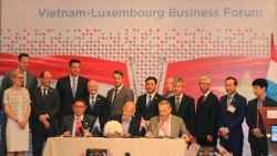 Đẩy mạnh hợp tác thương mại, đầu tư giữa Việt Nam - Luxembourg