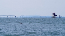 Hải Phòng: Cưỡng chế 18 trường hợp vi phạm trên khu vực biển Kiến Thụy