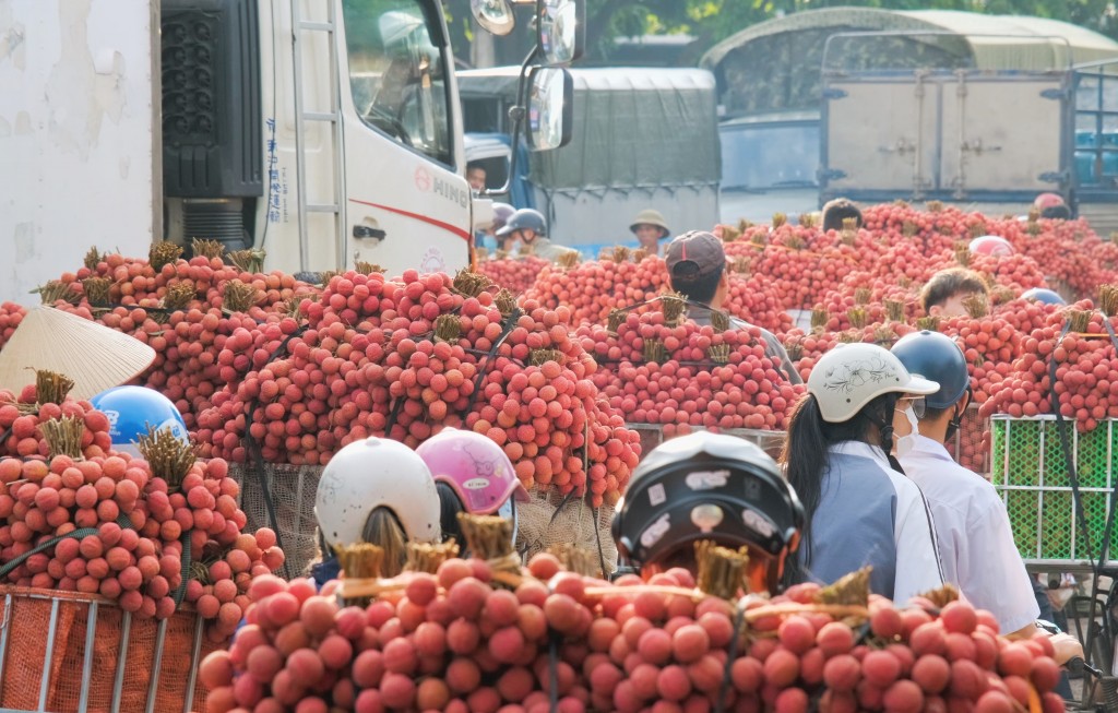 Lễ hội trái cây 2023 tiếp tục mang đến cho người dùng các loại trái cây đặc sản chính vụ, chất lượng cao