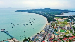 Quảng Ninh: Cảnh báo lừa đảo bán tour du lịch đảo Cô Tô