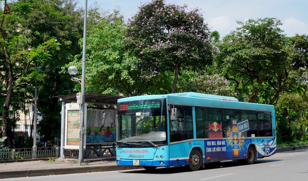 Hà Nội mùa "áo tím"