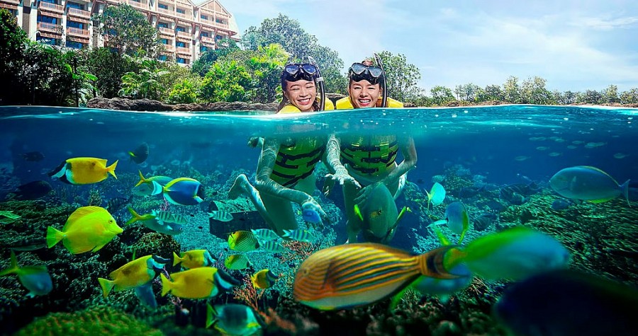 Hoạt động vui chơi dưới nước đa dạng đã giúp Adventure Cove Waterpark là điểm đến hấp dẫn với du khách  