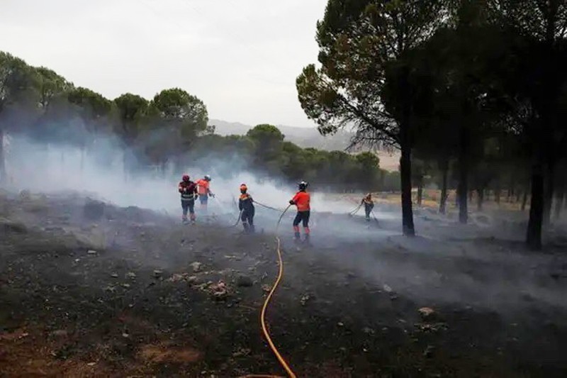 Trong khi đó tại Tây Ban Nha, cháy rừng đã khiến hơn 8 nghìn hécta rừng gần biên giới với Bồ Đào Nha bị thiêu trụi, khoảng 700 người dân phải đi sơ tán.