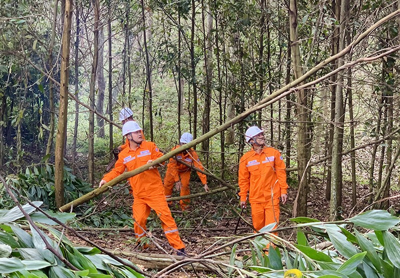 Công nhân Công ty Điện lực Thanh Hóa chặt tỉa cây giải phóng hành lang, đảm bảo an toàn lưới điện.