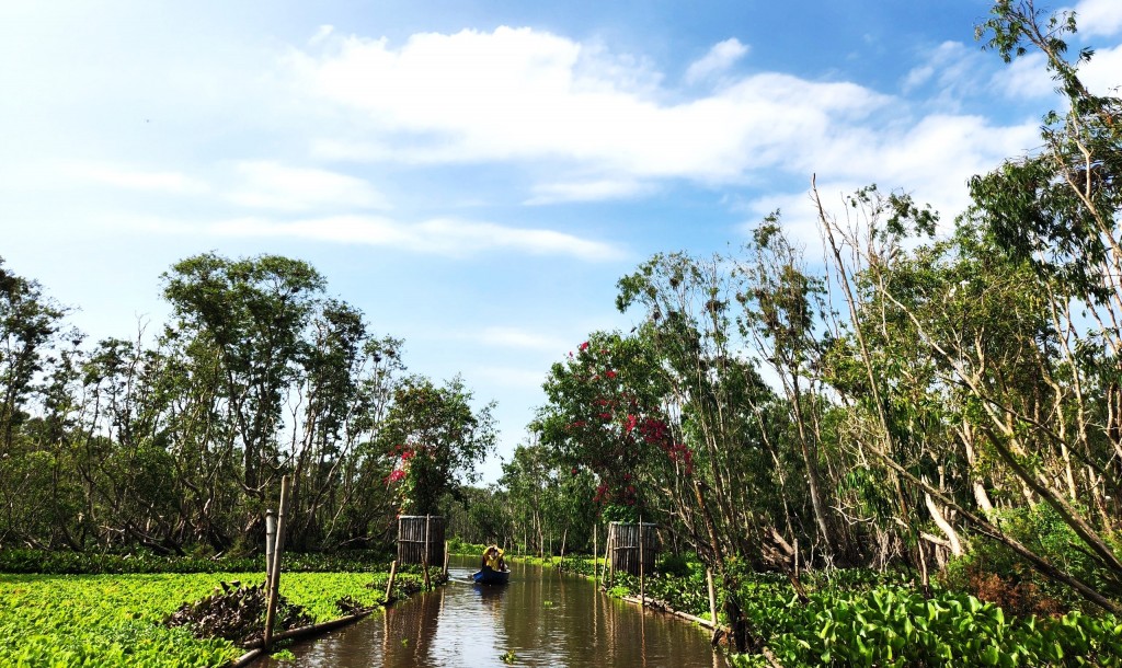 điểm du lịch sinh thái rừng tràm Trà Sư (An Giang)