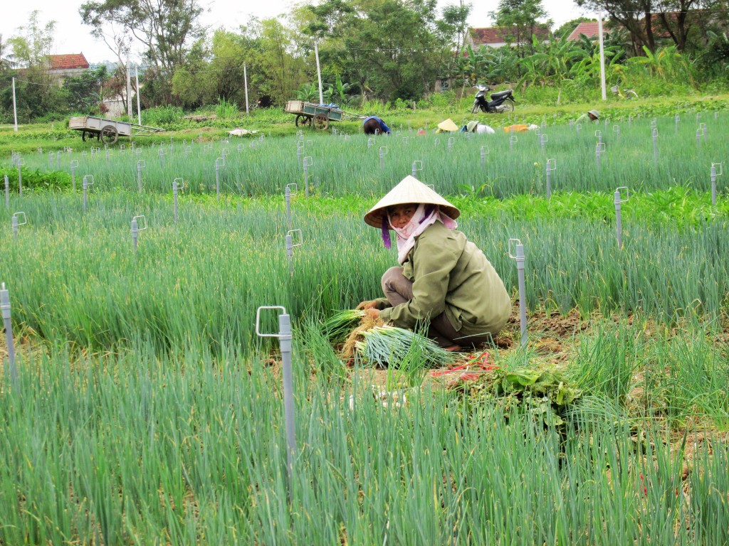 Nỗ lực cải thiện hạ tầng giao thông để sớm về đích Nông thôn mới nâng cao