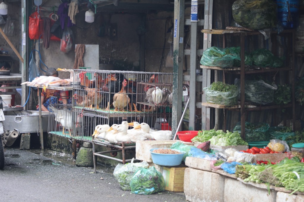 Nỗi lo thực phẩm 