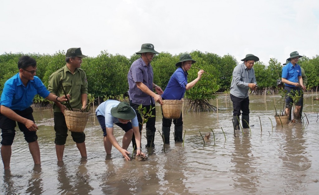 Phó Chủ tịch nước tham gia trồng rừng tại mũi Cà Mau