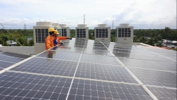 EVN công khai thủ tục các dự án năng lượng tái tạo chuyển tiếp