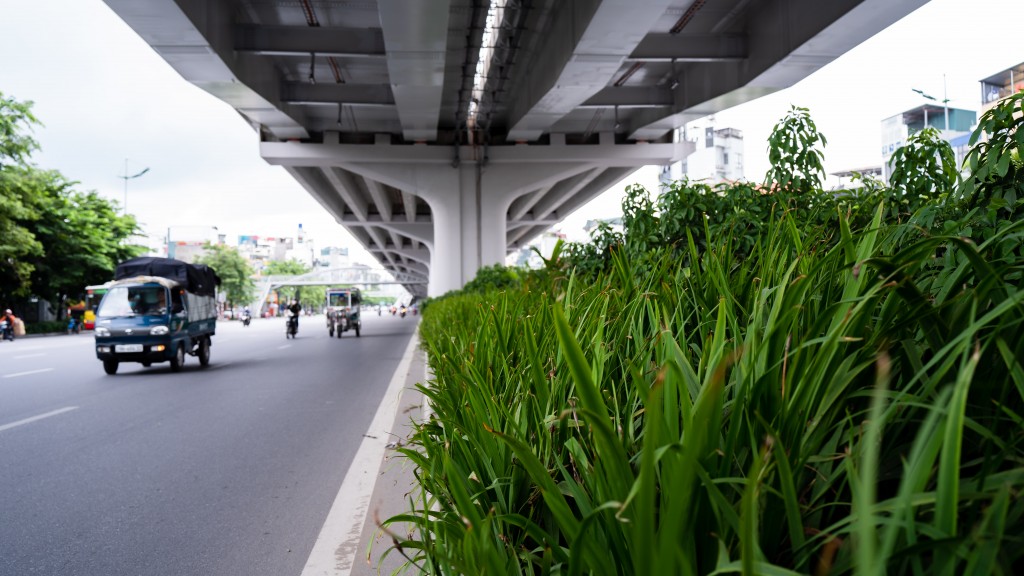 Những cung đường có "mái che khổng lồ" dưới cái nắng hơn 40 độ C ở Hà Nội