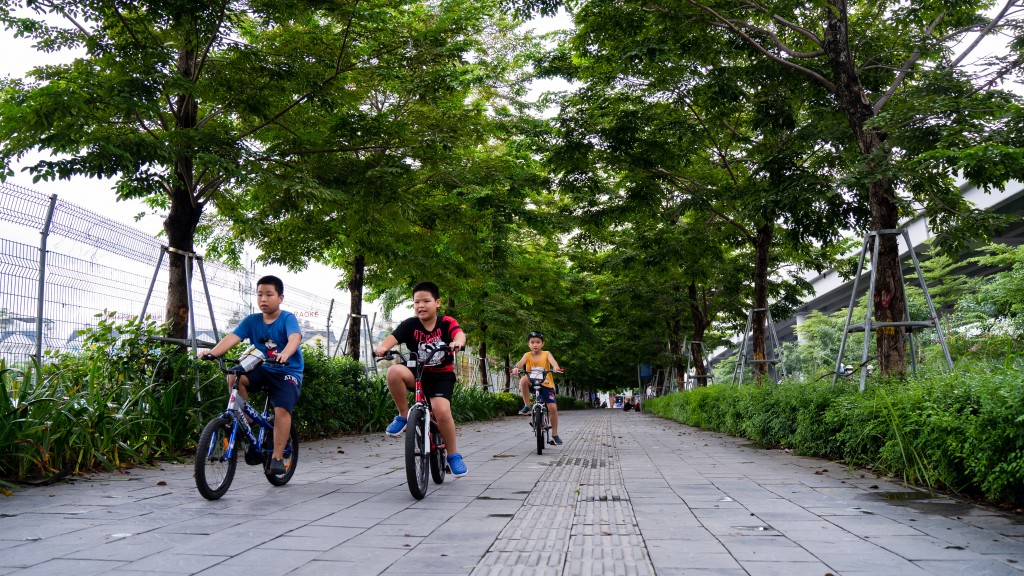 Những cung đường có "mái che khổng lồ" dưới cái nắng hơn 40 độ C ở Hà Nội Những cung đường có "mái che khổng lồ" dưới cái nắng hơn 40 độ C ở Hà Nội