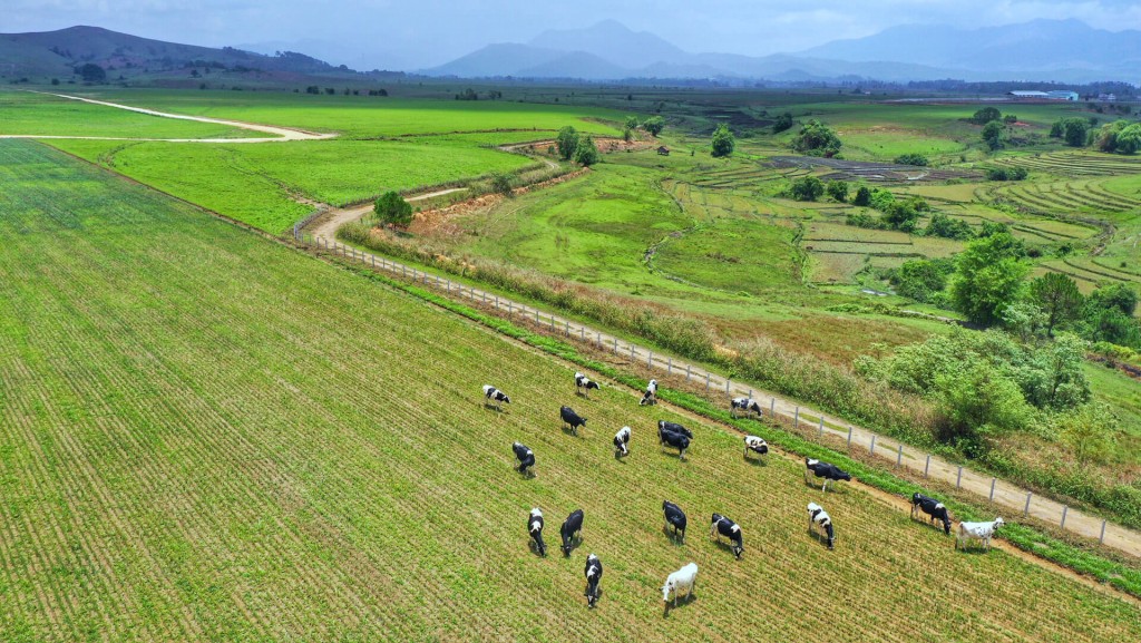 Tây Ninh chú trọng phát triển nông nghiệp ứng dụng công nghệ cao