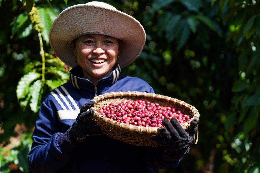 Người nông dân trồng cà phê tham gia vào chương trình NESCAFÉ Plan_hình 3
