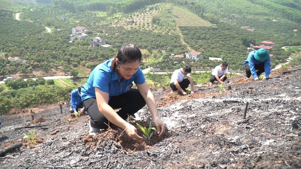 Chị Dương Thị Bền - Bí thư đoàn xã Phú Nhuận, huyện Lục Ngạn