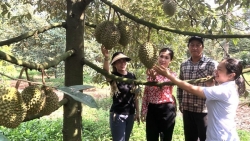 Đồng Nai tổ chức Lễ hội trái cây 2023 tại thành phố Long Khánh