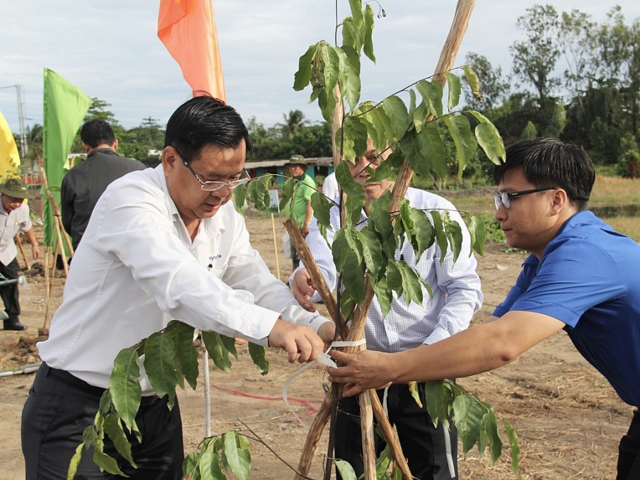 Ông Trần Thanh Vũ - Tổng Giám đốc Công ty TNHH Syngenta Việt Nam trong buổi lễ phát động