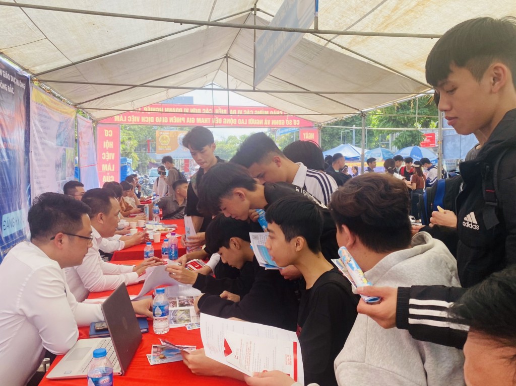Tư vấn việc làm cho người lao động