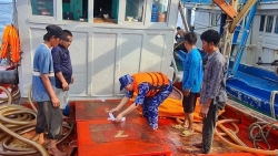 Bà Rịa - Vũng Tàu: Bắt giữ tàu cá vận chuyển 45.000 lít dầu D.O trái phép