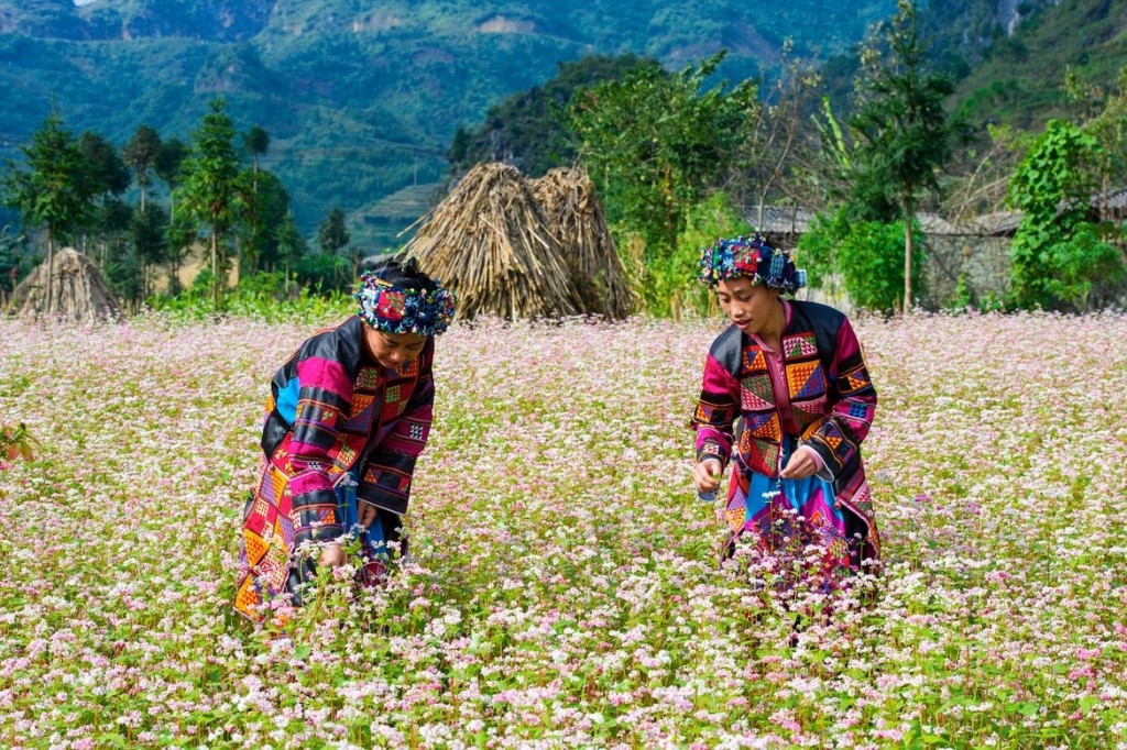 Hà Giang cần kiên trì, kiên quyết, bình tĩnh, sáng suốt, nhạy bén