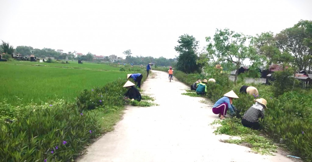 Cán bộ, hội viên phụ nữ và Nhân dân Ứng Hòa tích cực tham gia tổng vệ sinh, chăm sóc cây hoa để sạch nhà, sạch bếp và sạch ngõ