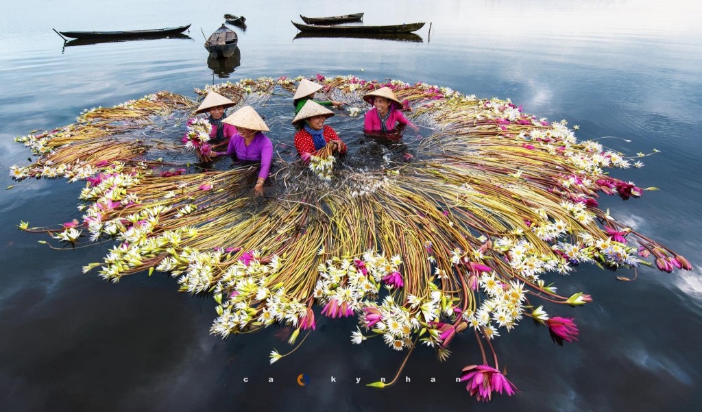 Những vần thơ tháng 6