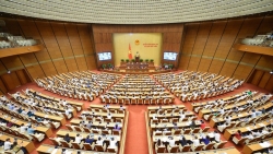 Đại biểu Quốc hội lo ngại việc người nước ngoài nhập cảnh vào Việt Nam được mua nhà đất