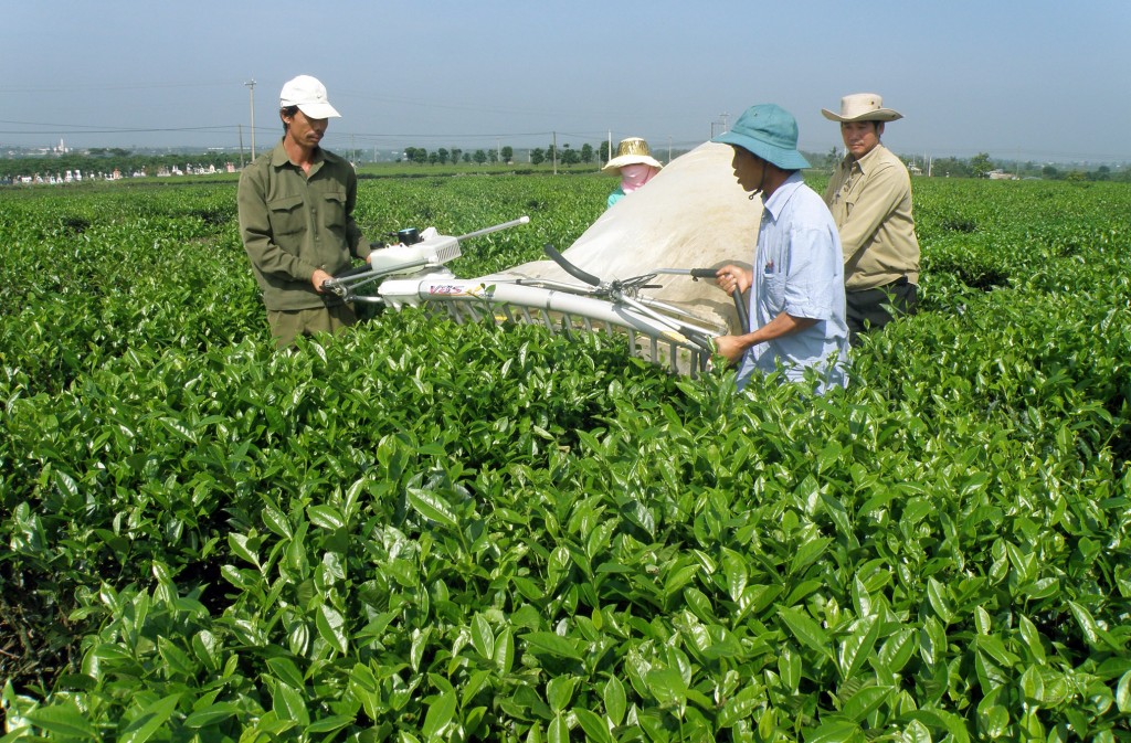 Ảnh minh họa