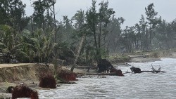 Bờ biển Quảng Nam sạt lở, tàu cá bị chìm, cầu dân sinh bị sập do mưa lớn