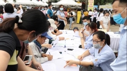 Hà Nội: Thu thập thông tin thị trường lao động năm 2023