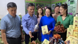 Hà Nội quảng bá tiêu thụ sản phẩm nông nghiệp an toàn năm 2023