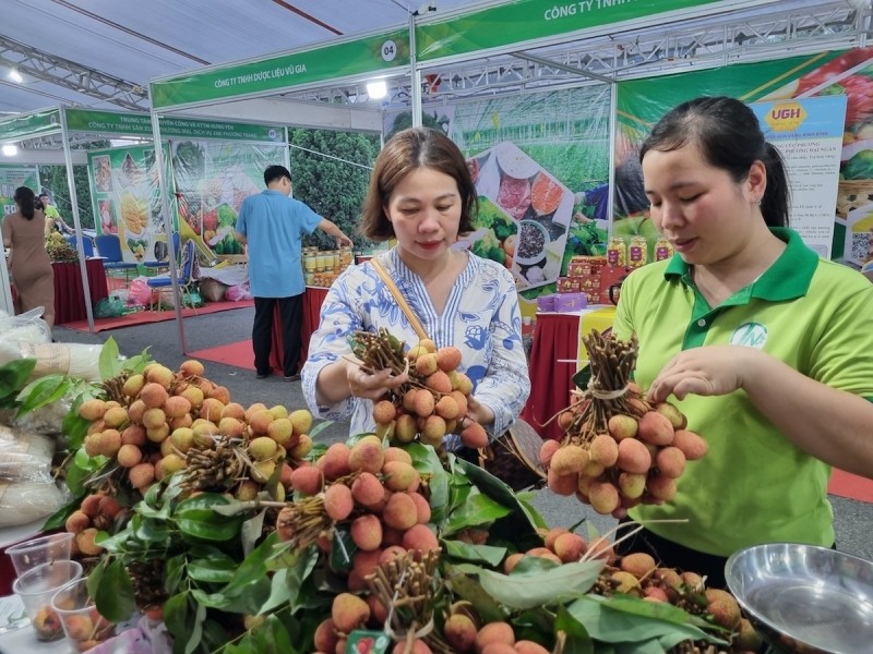 Cơ hội giúp doanh nghiệp tìm kiếm đối tác tại Tuần hàng trái cây, nông sản