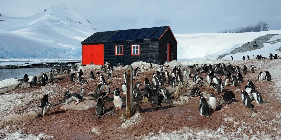 Bưu điện đóng vai trò như viện bảo tàng và được quản lý bởi Ủy ban Di sản Nam Cực của Vương quốc Anh (UKAHT). Mỗi năm, UKAHT thuê bốn nhân viên bưu điện sống trên đảo từ tháng 11 đến tháng 3 (Ảnh: 