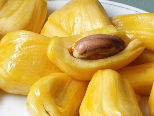 mít có chứa nhiều đường