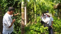 Hà Nội: Phát triển du lịch nông thôn gắn với chương trình OCOP