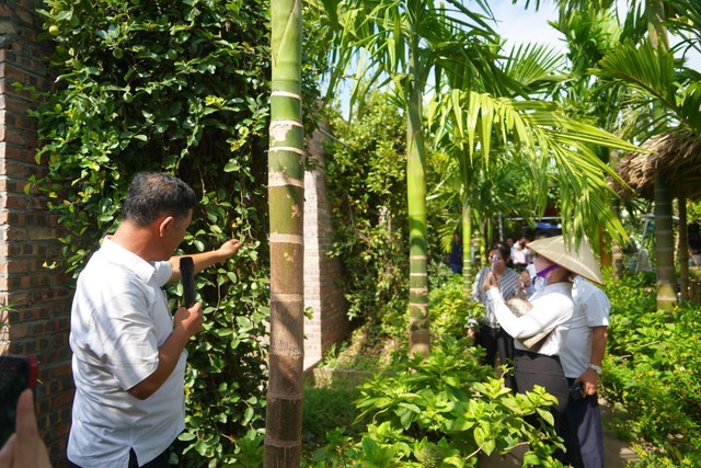 Các học viên đi tham quan, khảo sát một số điểm Du lịch sinh thái xã Hồng Vân, huyện Thường Tín, Hà Nội