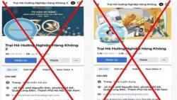 Công an Hà Nội cảnh báo về các hoạt động trại hè mời chào trên mạng xã hội