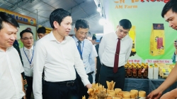 Tiềm năng kết nối đầu tư giữa Hà Nội và các tỉnh miền Trung