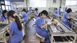 Hàn Quốc tăng hạn ngạch thị thực lao động lành nghề lên 17 lần