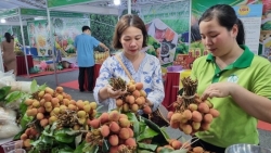 Tạo sự chuyển biến mạnh mẽ trong nhận thức, hành động phát triển nông nghiệp, nông thôn