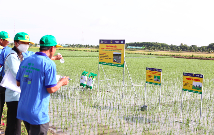 Công ty Bình Điền: Quy trình canh tác lúa thông minh được công nhận tiến bộ kỹ thuật mới