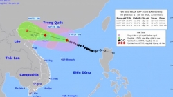 TP Hồ Chí Minh có thể chịu nhiều ảnh hưởng từ cơn bão số 1