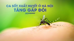 Số ca sốt xuất huyết ở Hà Nội tăng gấp đôi