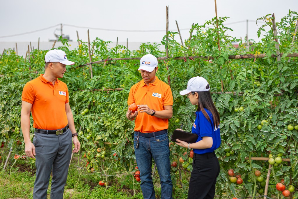 Không ngừng nỗ lực để mang đến những trải nghiệm thú vị cho khách hàng