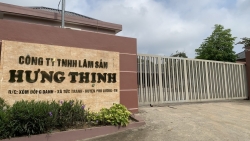 Công ty TNHH Lâm sản Hưng Thịnh bị phạt hơn 90 triệu đồng, buộc tháo dỡ công trình xây dựng trái phép