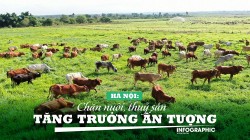 Hà Nội: Ngành chăn nuôi, thủy sản tăng trưởng ấn tượng