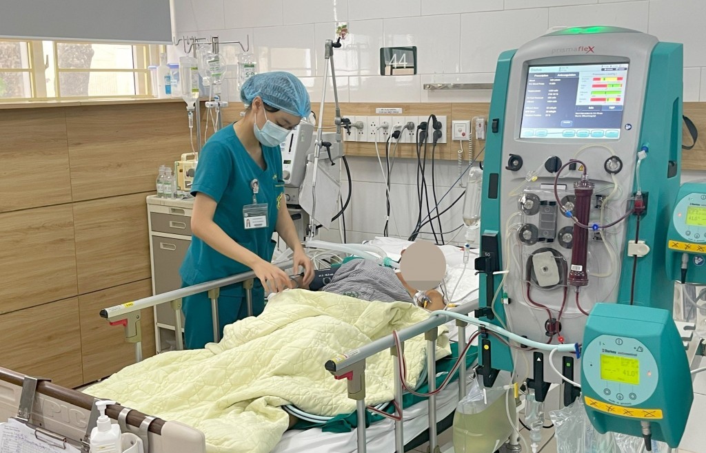 Cảnh báo các trường hợp ngộ độc nấm nhập viện cấp cứu