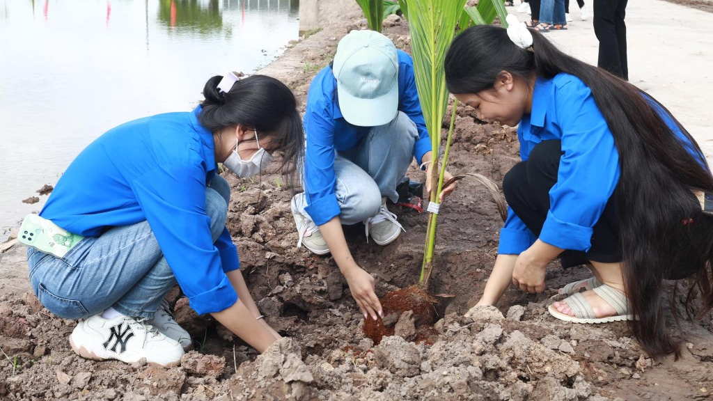 Đoàn viên, thanh niên tỉnh Ninh Bình trồng cây xanh 