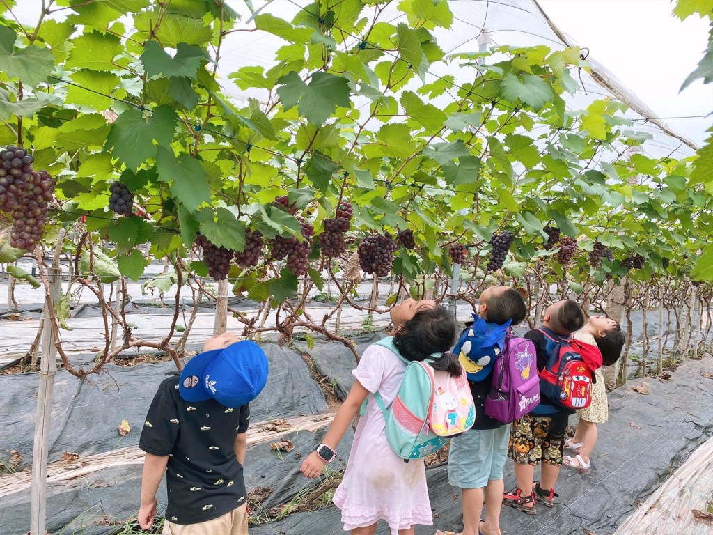 Trang trại sinh thái Chimi Farm 4 